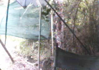 South East Corner
