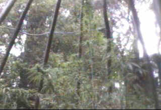 The Prime View South ;O)--~