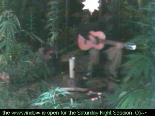 Click any pic to go back to the Peace Camp ;O)--~