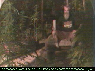 Click any pic to go back to the Peace Camp ;O)--~