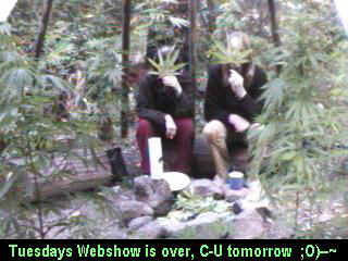 Click any pic to go back to the Peace Camp ;O)--~