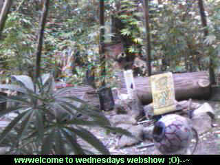 Click any pic to go back to the Peace Camp ;O)--~