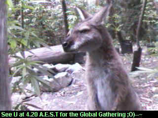 Click any pic to go back to the Peace Camp ;O)--~